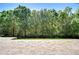 Showcases an expansive paved patio and lush wooded scenery, inviting outdoor entertaining and relaxation at 4289 Ortona Ln, Wesley Chapel, FL 33543