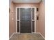 Inviting foyer featuring a gray front door with textured sidelights, a round rug and blush walls at 5263 Kirkwood Ave, Spring Hill, FL 34608