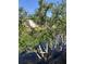 Take in this view of the water and lush trees from this relaxing vantage point at 6080 80Th N St # 409, St Petersburg, FL 33709