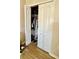Bedroom closet with shelving and clothes storage at 6446 Louisiana Ave, New Port Richey, FL 34653