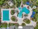 Aerial view of the community pool, splash pad, cabanas, and palm trees at 7927 Hampton Lake Dr, Tampa, FL 33647