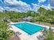 Bright community pool with striped lanes, a pool house, lounge chairs, and mature trees at 7927 Hampton Lake Dr, Tampa, FL 33647