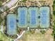 Aerial view of three tennis courts surrounded by lush landscaping at 7927 Hampton Lake Dr, Tampa, FL 33647