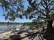 Scenic lake view featuring waterfront seating, lush trees, and a tranquil ambiance at 11485 Oakhurst Rd # 319, Largo, FL 33774
