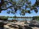 Beautiful lake view offering waterfront seating, clear water, and serene landscaping at 11485 Oakhurst Rd # 319, Largo, FL 33774