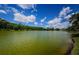 Scenic view of a tranquil lake surrounded by lush greenery and peaceful surroundings at 2042 Diamond Ct, Oldsmar, FL 34677