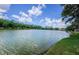 Picturesque lake view from the backyard of this property at 2042 Diamond Ct, Oldsmar, FL 34677
