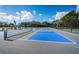 The Ardea Country Club includes fenced pickleball courts surrounded by blue skies at 2042 Diamond Ct, Oldsmar, FL 34677