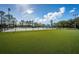 Community tennis court featuring lush green landscaping, black fences, and open skies at 2042 Diamond Ct, Oldsmar, FL 34677