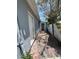 Side view shows yard with concrete pathway, white door, and partial view of the sky at 310 79Th Ave, St Pete Beach, FL 33706