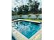 Beautiful pool with clear blue water surrounded by palm trees and grass at 3420 Channelside Ct, Safety Harbor, FL 34695