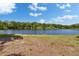 Expansive lake view with clear blue sky and lush green trees creating a serene backdrop at 4225 Barret Ave, Plant City, FL 33566