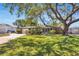 Inviting home exterior with lush green lawn, mature shade tree, and neatly maintained landscaping at 5254 23Rd N Ave, St Petersburg, FL 33710