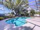 Relaxing screened-in pool with clear blue water and surrounding lush landscaping and patio area at 7307 Summerbridge Dr, Tampa, FL 33634