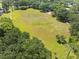 A sprawling green field surrounded by mature trees, ideal for recreation and outdoor activities at 11503 Whispering Hollow Dr, Tampa, FL 33635