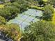 Aerial shot of multiple tennis courts surrounded by green trees, offering a private and serene playing experience at 11503 Whispering Hollow Dr, Tampa, FL 33635