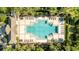 Aerial perspective of a cross-shaped community pool featuring ample seating surrounded by green vegetation and palm trees at 1227 Ballard Green Pl, Brandon, FL 33511