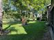 Lush green backyard featuring mature trees and landscaping, offering a serene outdoor space at 12920 Wedgewood Way # A, Hudson, FL 34667
