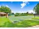 Full basketball court with well-maintained green surface and multiple hoops, perfect for outdoor activities at 16118 Lytham Dr, Odessa, FL 33556