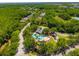 Aerial view showing community pool and recreation areas nestled among lush trees and landscaping at 18310 Bankston Pl, Tampa, FL 33647
