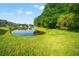 Scenic pond view with lush landscaping, creating a serene and peaceful atmosphere at 18310 Bankston Pl, Tampa, FL 33647