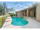 Stunning pool with a screened enclosure, complemented by a spa and lush landscaping at 18310 Bankston Pl, Tampa, FL 33647