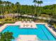 Resort-style pool with lounge chairs, umbrellas, and palm trees, offering a relaxing and luxurious outdoor space at 18310 Bankston Pl, Tampa, FL 33647