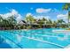 A stunning pool view showcasing palm trees, and a bridge leading to the clubhouse under a clear blue sky at 20606 Whitewood Way, Tampa, FL 33647