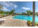 Lounge by the community pool under the palms on the beautiful brick paver deck under clear blue skies at 20606 Whitewood Way, Tampa, FL 33647