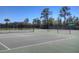 Well maintained tennis courts are ready for play under a clear blue sky at 20606 Whitewood Way, Tampa, FL 33647
