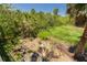 Backyard features a small area covered with pea gravel surrounded by dense trees and brush at 2613 59Th S St, Gulfport, FL 33707