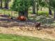 Cows grazing in a spacious pasture with scattered trees and fencing at 35657 Ashley Ln, Dade City, FL 33523