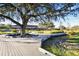 Inviting clubhouse entrance framed by a mature tree, lush landscaping, and attractive walkway at 4106 Queller Way, Tampa, FL 33618