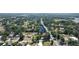 Birds eye view of neighborhood featuring mature trees and well-manicured lawns at 4801 Lynn Oaks Cir, Dover, FL 33527