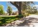 A picturesque log home with mature trees enhancing the property's appeal at 4801 Lynn Oaks Cir, Dover, FL 33527