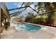 Screened-in pool area, showcasing a sparkling blue pool and surrounding mature trees at 4801 Lynn Oaks Cir, Dover, FL 33527
