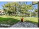 Backyard view features lush landscaping, a tranquil pond, and a charming brick patio at 486 Lakeview Dr # 54, Palm Harbor, FL 34683