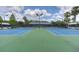 Well-maintained tennis courts surrounded by lush greenery in a beautiful neighborhood at 9534 W Park Village Dr, Tampa, FL 33626