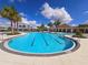 Resort-style pool with lap lanes and palm trees, perfect for relaxation and recreation in a sunny setting at 10303 Malvasia Ave, Riverview, FL 33578