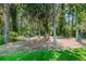 Secluded picnic area with charcoal grills and table amidst mature trees at 11800 Ivywood Pl, New Port Richey, FL 34654
