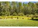 Expansive backyard features lush greenery and a picturesque natural border at 15329 Renaissance Ave, Odessa, FL 33556
