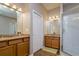 Bathroom features double sinks, wood cabinets, shower and wood look flooring at 2256 Pantucket Dr, Wesley Chapel, FL 33543