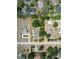 Aerial view of a residential property with mature trees and defined property lines at 2805 Olavet Ct, Valrico, FL 33596