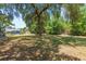 Expansive backyard with lush green grass and mature trees, perfect for relaxation and outdoor enjoyment at 2805 Olavet Ct, Valrico, FL 33596