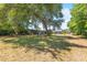 Spacious backyard with mature trees offering shade and ample space for outdoor activities and entertaining at 2805 Olavet Ct, Valrico, FL 33596