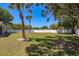 Large fenced backyard featuring tropical palm trees and ample space for recreation at 3241 Brushwood Ct, Clearwater, FL 33761