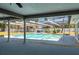 Screened-in pool area with a beautiful pool and surrounding greenery at 3241 Brushwood Ct, Clearwater, FL 33761