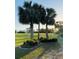 Backyard landscape featuring mature palm trees, offering a serene tropical setting at 446 Noble Faire Dr, Sun City Center, FL 33573