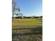 Large backyard with a green grass, providing an outdoor space for recreation and relaxation at 446 Noble Faire Dr, Sun City Center, FL 33573