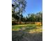 Picture of a grass backyard showing the generous space, bordered by a wood fence for privacy at 4504 Cabbage Palm Dr, Valrico, FL 33596